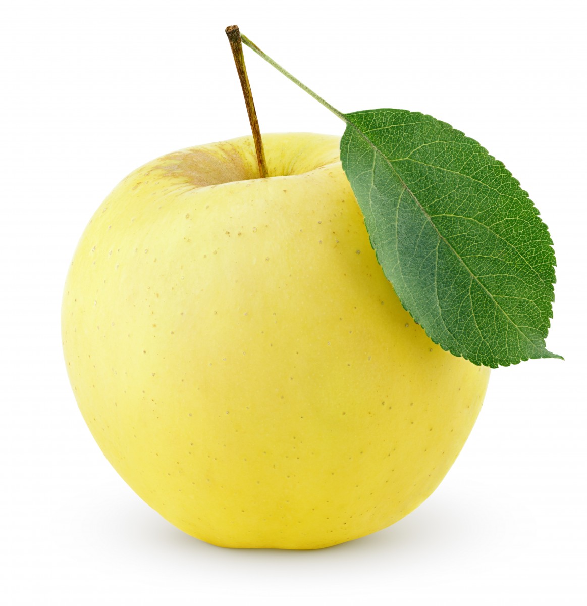 Желтое яблоко с листиком
